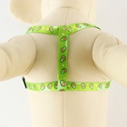 Поводок «Авокадо» 120×1 см, шлейка 24-36 см - Фото 6