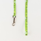 Поводок «Авокадо» 120×1 см, шлейка 24-36 см - Фото 7