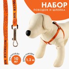 Комплект «Чертовски хорош», шлейка 24-36 см, поводок 120х1 см - Фото 1