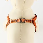 Комплект «Чертовски хорош», шлейка 24-36 см, поводок 120х1 см - Фото 5