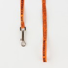 Комплект «Чертовски хорош», шлейка 24-36 см, поводок 120х1 см - Фото 7