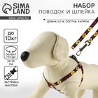 Поводок «Пчёлы» 120×1 см, шлейка 24-36 см - Фото 1