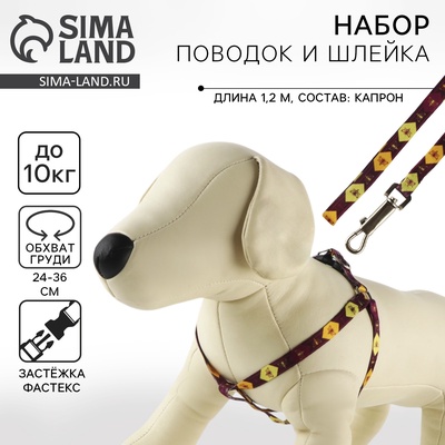 Поводок «Пчёлы» 120×1 см, шлейка 24-36 см