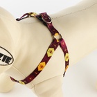 Поводок «Пчёлы» 120×1 см, шлейка 24-36 см - Фото 3