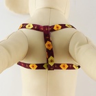 Поводок «Пчёлы» 120×1 см, шлейка 24-36 см - Фото 6