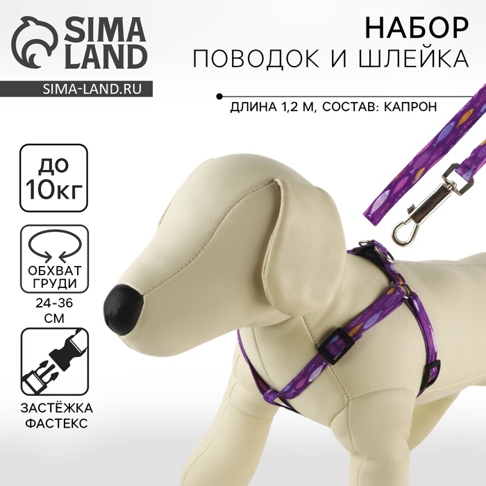 Поводок «Рыбки» 120×1 см, шлейка 24-36 см - Фото 1