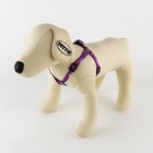 Поводок «Рыбки» 120×1 см, шлейка 24-36 см - Фото 2