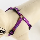 Поводок «Рыбки» 120×1 см, шлейка 24-36 см - Фото 3