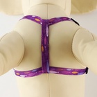 Поводок «Рыбки» 120×1 см, шлейка 24-36 см - Фото 6