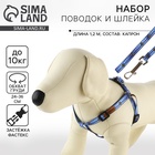 Поводок «Любимчик» 120×1 см, шлейка 24-36 см - Фото 1