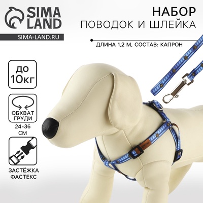 Поводок «Любимчик» 120×1 см, шлейка 24-36 см