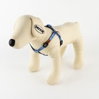 Поводок «Любимчик» 120×1 см, шлейка 24-36 см - Фото 2