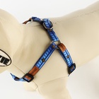 Поводок «Любимчик» 120×1 см, шлейка 24-36 см - Фото 3