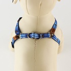 Поводок «Любимчик» 120×1 см, шлейка 24-36 см - Фото 5