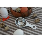 Сепаратор для яиц Доляна, 13×7 см, цвет хромированный - фото 298676533