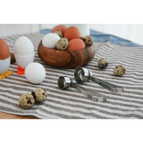 Резак для скорлупы у яиц Доляна, 10×3,4×5,3 см, цвет хромированный