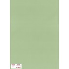 Рулонная штора «Плайн», 40х175 см, цвет фисташковый - Фото 6