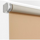Рулонная штора «Плайн», 40х175 см, цвет темно-бежевый - Фото 5
