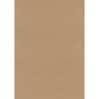 Рулонная штора «Плайн», 40х175 см, цвет темно-бежевый - Фото 7