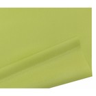 Рулонная штора «Шантунг», 52х175 см, цвет салатовый - Фото 3