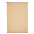Рулонная штора «Плайн», 67х175 см, цвет персиковый - фото 299720812