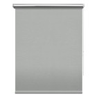 Рулонная штора blackout «Сильвер», 48х175 см, цвет светло-серый - фото 295539254
