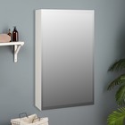 Зеркало-шкаф для ванной комнаты "Виктория 40", 40 х 68,5 х 14,5 см - Фото 1