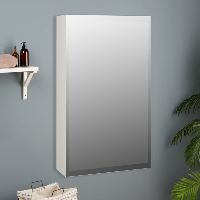 Зеркало-шкаф для ванной комнаты Виктория 40, 40 х 68,5 х 14,5 см