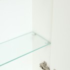 Зеркало-шкаф для ванной комнаты "Виктория 40", 40 х 68,5 х 14,5 см - Фото 4