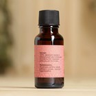 Масло эфирное «Малина» 20 мл, крафт, Добропаровъ - Фото 6