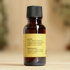 Масло эфирное «Гвоздика» 20 мл, крафт, Добропаровъ - Фото 3