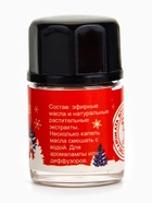 Новогодний набор эфирных масел «Богатство аромата. Рождественский», 6 шт. по 3 мл - Фото 9