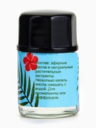 Набор эфирных масел «Тропический», 6 штук по 3 мл, «Богатство Аромата» - Фото 9