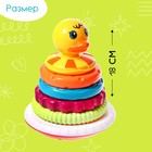 Развивающая пирамидка «Уточка», 5 колец - фото 25513813
