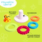 Развивающая пирамидка «Уточка», 5 колец - фото 25513814