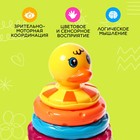 Развивающая пирамидка «Уточка», 5 колец - фото 25513815