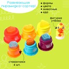 Развивающая пирамидка-сортер «Утёнок», 13 предметов - фото 21533567