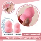 Спонж для макияжа «Амфора», пористый, 4 × 6 см, увеличивается при намокании, цвет МИКС 7508109 - фото 16271448