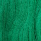SOFT DREADS Канекалон однотонный, гофрированный, 60 см, 100 гр, цвет зелёный(#D-green) - фото 21534042