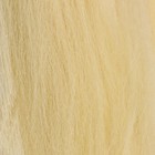 ZUMBA Канекалон однотонный, гофрированный, 60 см, 100 гр, цвет блонд(#KHB613) - Фото 2