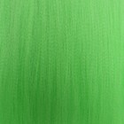 SIM-BRAIDS Канекалон однотонный, гофрированный, 65 см, 90 гр, цвет светло-зелёный(#Green) - фото 8571436