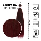 SIM-BRAIDS Канекалон двухцветный, гофрированный, 65 см, 90 гр, цвет русый/вишнёвый(#FR-8) - фото 9648236