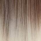 SIM-BRAIDS Канекалон двухцветный, гофрированный, 65 см, 90 гр, цвет русый/белый(#FR-14) - Фото 2