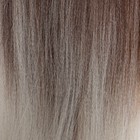 SIM-BRAIDS Канекалон двухцветный, гофрированный, 65 см, 90 гр, цвет светло-серый/русый(#FR-15) - Фото 2