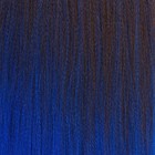 SIM-BRAIDS Канекалон двухцветный, гофрированный, 65 см, 90 гр, цвет синий/русый(#FR-19) - Фото 2