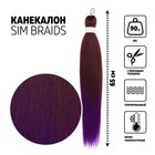 SIM-BRAIDS Канекалон двухцветный, гофрированный, 65 см, 90 гр, цвет фиолетовый/русый(#FR-20) - фото 9648301
