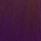 SIM-BRAIDS Канекалон двухцветный, гофрированный, 65 см, 90 гр, цвет фиолетовый/русый(#FR-20) - Фото 2