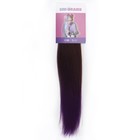 SIM-BRAIDS Канекалон двухцветный, гофрированный, 65 см, 90 гр, цвет фиолетовый/русый(#FR-20) - Фото 3