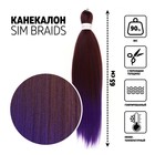 SIM-BRAIDS Канекалон двухцветный, гофрированный, 65 см, 90 гр, цвет тёмно-синий/русый(#FR-21) - фото 9648307