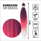 SIM-BRAIDS Канекалон трёхцветный, гофрированный, 65 см, 90 гр, цвет фиолетовый/белый/розовый(#FR-25) - фото 319725850